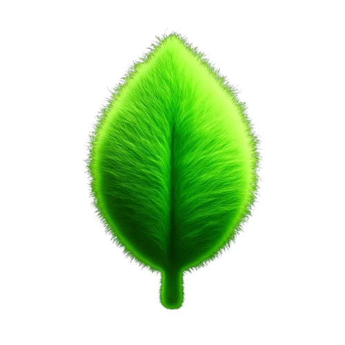 MongoDB